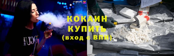 apvp Алексин