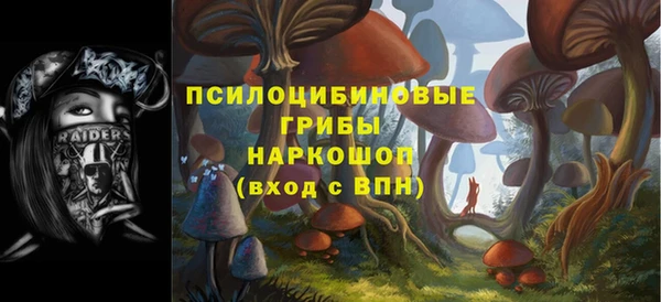 амф Алексеевка