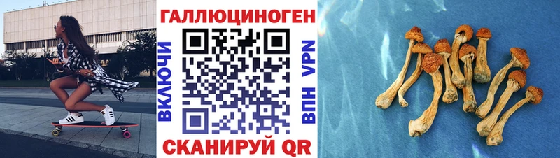 Псилоцибиновые грибы Psilocybine cubensis  купить наркотик  гидра зеркало  Чкаловск 